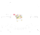 Noi da Voi